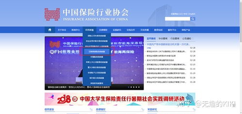 梧桐樹(shù)保險(xiǎn)經(jīng)紀(jì) 互聯(lián)網(wǎng)信息服務(wù)解析與市場(chǎng)認(rèn)知