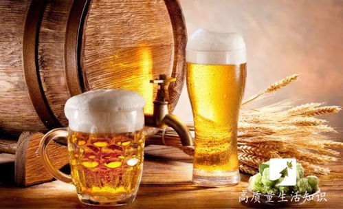 盤錦酒桌規(guī)矩解密 1杯白酒到底等于多少瓶啤酒？