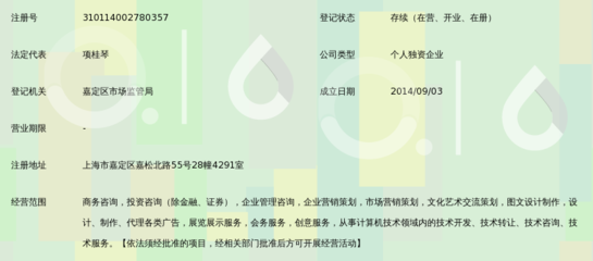上海華略商務咨詢服務中心 以專業網站塑造高端商務形象